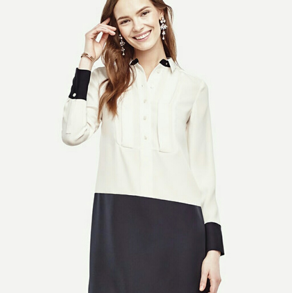 Ann Taylor Shirt Dress